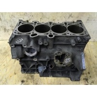Блок двигателя VOLKSWAGEN Golf 5 06F103101