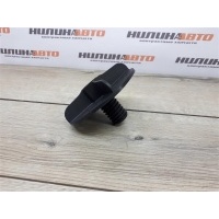 Крепеж RENAULT Megane 2 8200317791