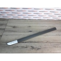 Молдинг двери передний левый RENAULT Megane 2 8200574616