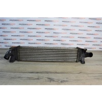 Интеркулер FORD Focus 2 1353523
