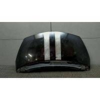 Капот Renault Espace 4 2002- 2005 651000267R