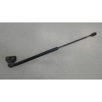 Амортизатор крышки багажника, левая Ford C-Max 2002-2010 2007 1683725