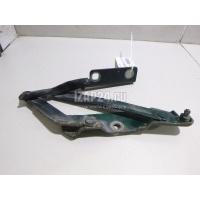 Петля капота левая GM Vectra B (1995 - 1999) 1160489