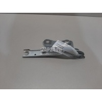 Петля капота правая VAG Rapid (2013 - ) 5JA823302A