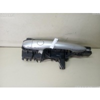 Корпус (держатель) ручки двери задней левой Renault Scenic II (2003-2009) 2005 8200076074