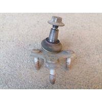 Опора шаровая правая нижняя Volkswagen Sharan (7N1) II (2010–2015) 2013 3C0407366B