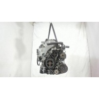 Насос гидроусилителя руля (ГУР), Nissan Primera P12 2002-2007 2005 491105M321