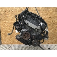 Проводка двигателя Opel Signum C 2004 24451552