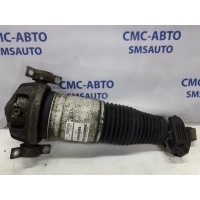 Амортизатор в сборе пневма Audi Q7 2006-2010 7L8616002
