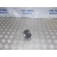 Патрубок воздушного фильтра Volvo C30 2007-2010 30650078