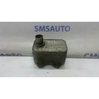 Радиатор дополнительный Volkswagen Passat B6 2006-2010 06J117021D