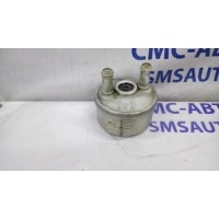 Радиатор масляный Volkswagen Passat B6 2004-2010 09G409061