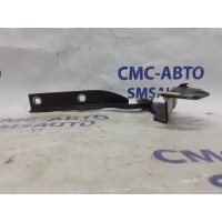 Петля капота Volkswagen Passat CC 3C8823302A