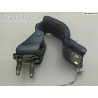Петля крышки (двери) багажника Volkswagen Passat B6 2007 3C9827302E
