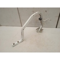 Петля крышки багажника Renault Logan 2 2017 904015781R