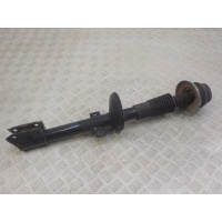 Амортизатор задний Renault Duster 2012- 8200811407