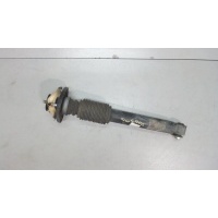 Амортизатор подвески, зад. левая=правая BMW X5 E53 2000-2007 2004 33506751543