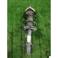 Амортизатор Infiniti QX50 J55 2019 E43035NA0D, 540105NA0C, 543205NA0B, 543035NA0D