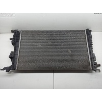 Радиатор основной Renault Scenic III (2009-2015) 2010 214100002R