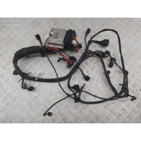 Проводка двигателя Volkswagen Passat B5+ (GP) 2003 038906019kc
