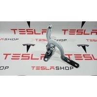 петля двери задней Tesla Model X 2020 1037844-00-M
