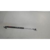 Амортизатор крышки багажника, правая Lexus RX 2003-2009 2006 6895049185