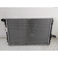 Радиатор основной Volkswagen Passat B6 2005 3C0121253AL