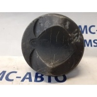 Поршень Audi A6 C6 06E107065CK