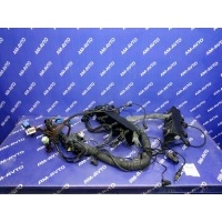 Коса двигателя LAND ROVER RANGE ROVER L322 2003 YSB001370