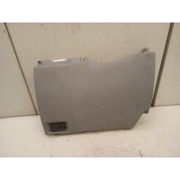 Накладка декоративная BMW X5 E53 2000, 2001, 2002, 2003, 2004, 2005, 2006, 2007 51458244293