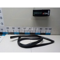 Уплотнитель стекла двери Nissan Murano (Z50) (2004 - 2008) 80330CA01A