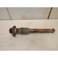 Амортизатор задний BMW X5 E53 2000, 2001, 2002, 2003, 2004, 2005, 2006, 2007 33526750361