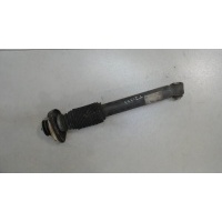 Амортизатор подвески, зад. левая BMW X5 E53 2000-2007 2005 33506751543