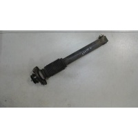 Амортизатор подвески, зад. левая=правая BMW X5 E53 2000-2007 2005 33506751543