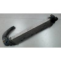 Радиатор интеркулера Ford Focus 2 2005-2008 1673687