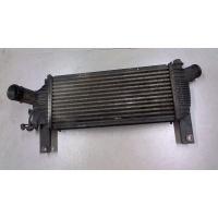 Радиатор интеркулера Nissan Navara 2005-2015 2006 14461EB360