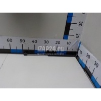 Амортизатор двери багажника VAG Passat [B7] (2011 - 2015) 3AF827550B