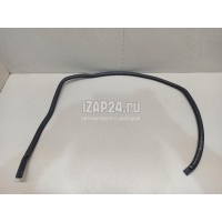 Уплотнитель стекла двери VAG Passat [B5] (2000 - 2005) 3B9839439GB41