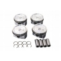 комплект поршневой borsehung b13576