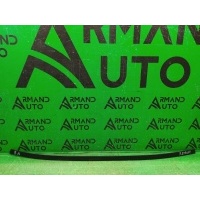 Накладка крыши RENAULT ARKANA 1 2019 738525055r