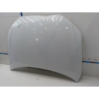 Капот Audi Q3 2012- 8U0823029B