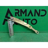 петля капота RENAULT SANDERO 2 2014 654013159R