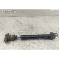 Амортизатор подвески задний левый Mercedes W164 (ML) 2007 A1643202431