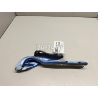 Петля капота правая VAG Rapid (2013 - ) 5JA823302A