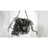Насос гидроусилителя руля (ГУР), Ford Focus 2 2008-2011 2009 1470514