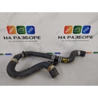 патрубок системы охлаждения TOYOTA rav4 XA40 2017 16572-37160