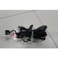 Жгут проводов передней правой двери BMW 5 F07 Gran Turismo 2009-2017 61129229987