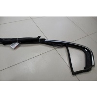 Уплотнитель стекла двери задний левый Volkswagen Passat B7 2011-2015 3AE839431E5AP