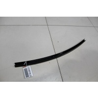 Направляющая стекла задней правой двери BMW X6 E71 E72 2007-2014 51357187212