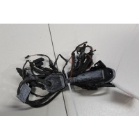 Жгут проводов задней левой двери BMW 7 F01 F02 2008-2015 61129302937